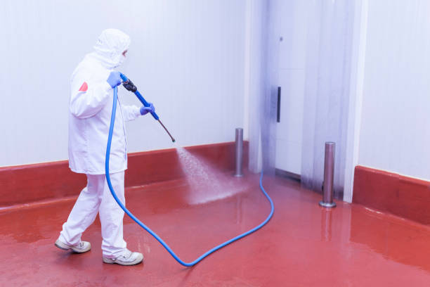 Best Paint Preparation  in Roselle, NJ