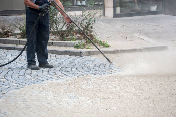 Best Warehouse Cleaning  in Roselle, NJ